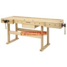 WB2100Profi Gyalupad